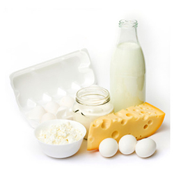 Casein in Milchprodukten